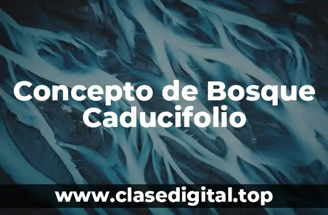Concepto de Bosque Caducifolio