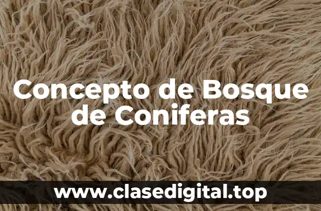 📗 Concepto de bosque de coniferas
