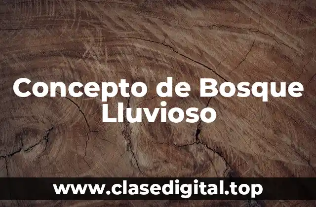 Concepto de Bosque Lluvioso