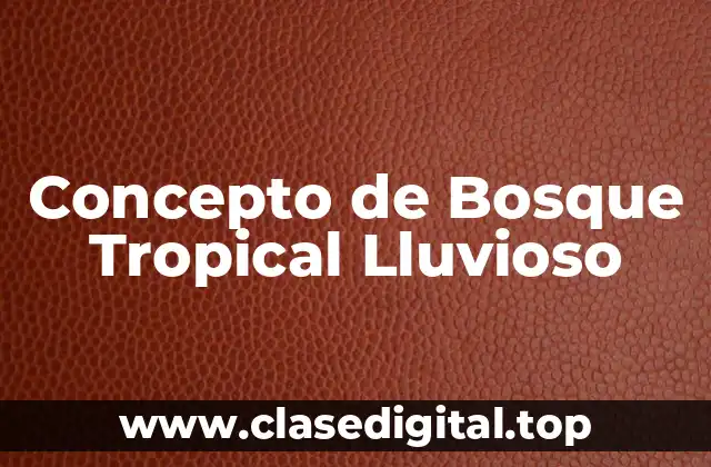 Concepto de Bosque Tropical Lluvioso
