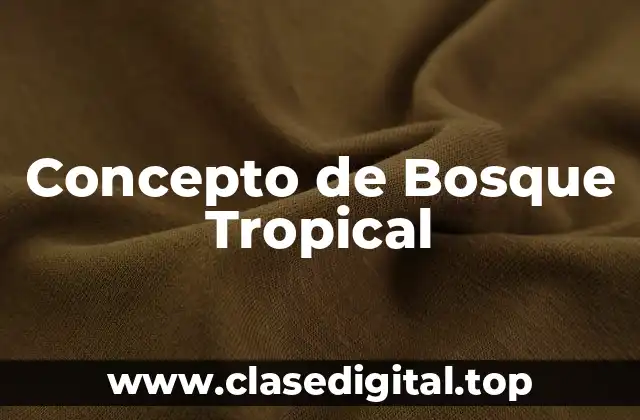 Concepto de Bosque Tropical