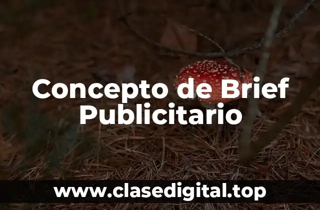 Concepto de Brief Publicitario