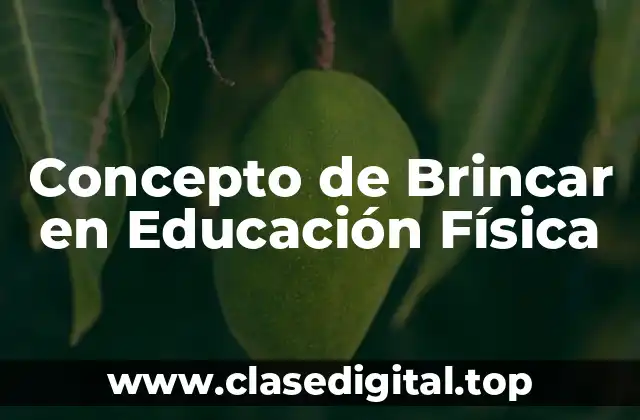 Concepto de Brincar en Educación Física