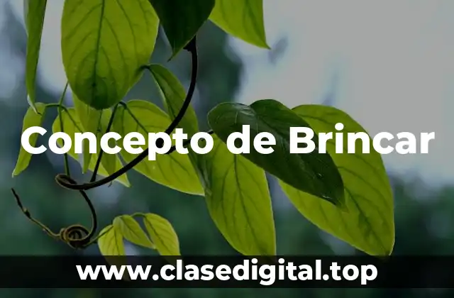 📗 Concepto de Brincar
