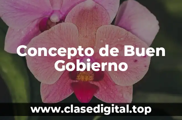 Concepto de Buen Gobierno