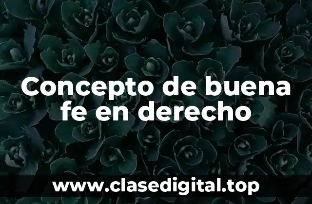 📗 Concepto de buena fe