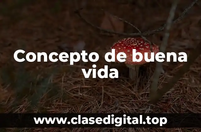 Concepto de buena vida