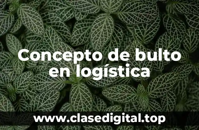 Concepto de bulto en logística
