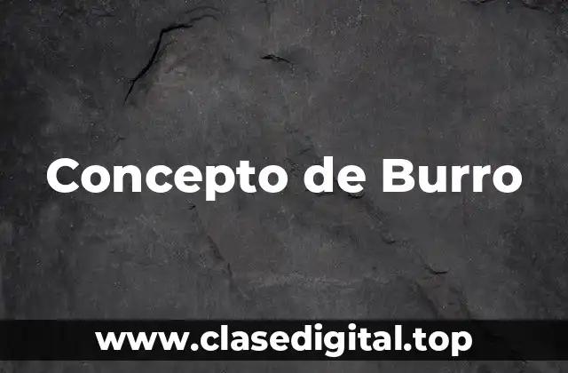 Concepto de Burro