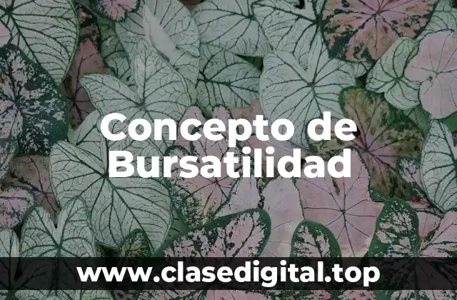 Concepto de Bursatilidad