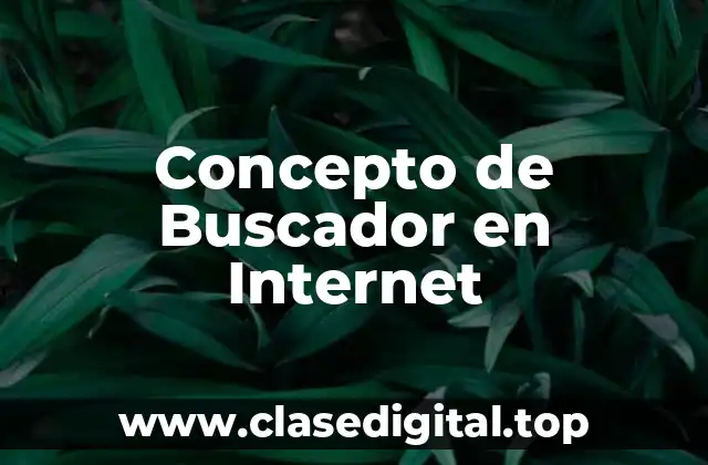 Concepto de Buscador en Internet