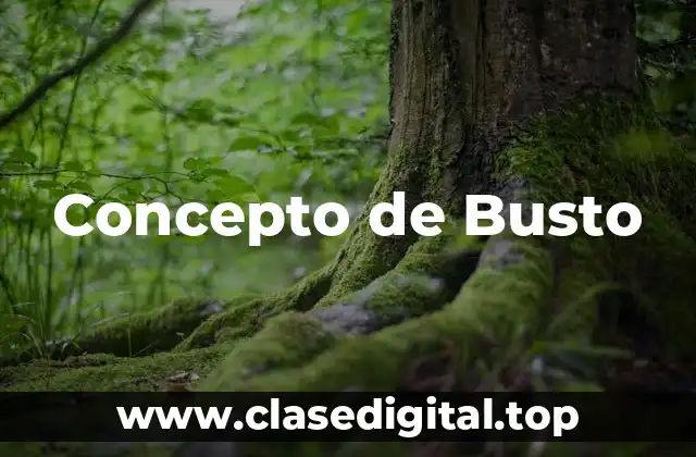 Concepto de Busto