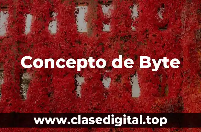 Concepto de Byte