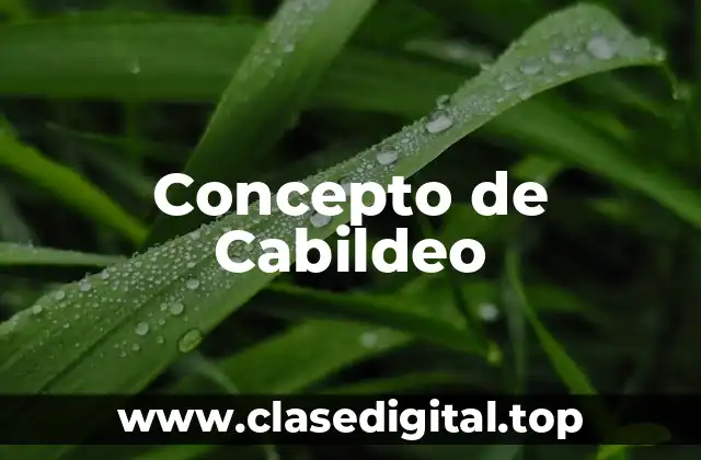 Concepto de Cabildeo