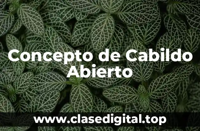 Concepto de Cabildo Abierto