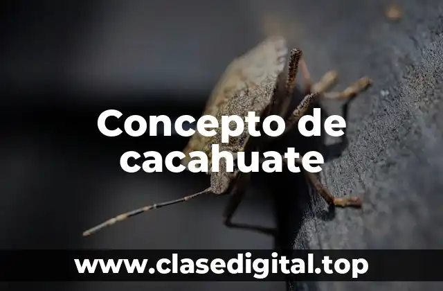 Concepto de cacahuate