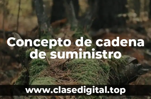 ✔️ Concepto de cadena de suministro