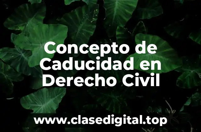 Concepto de Caducidad en Derecho Civil
