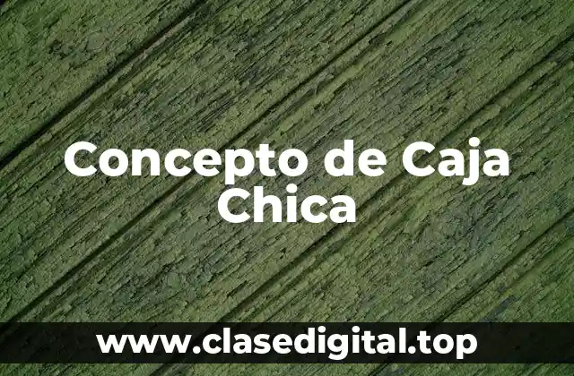 Concepto de Caja Chica