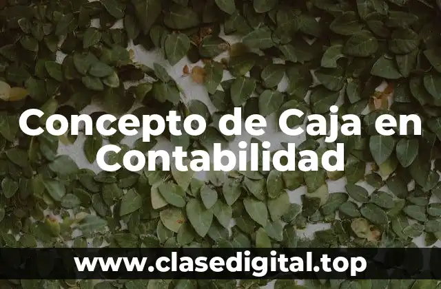 Concepto de Caja en Contabilidad