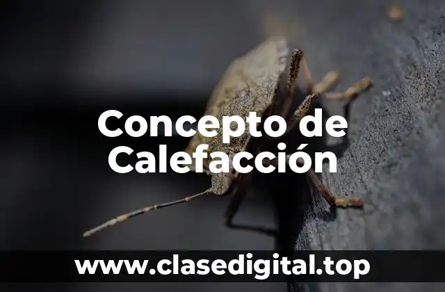 Concepto de Calefacción