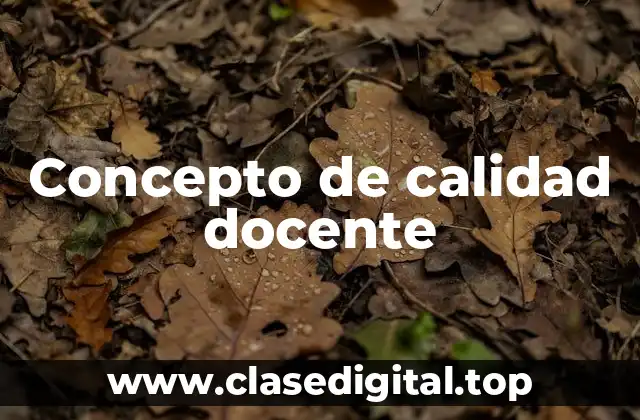 Concepto de calidad docente