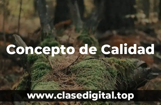 Concepto de Calidad