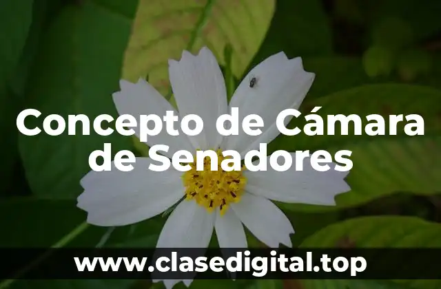 Concepto de Cámara de Senadores