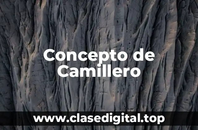 Concepto de Camillero