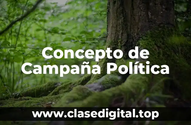 Concepto de Campaña Política