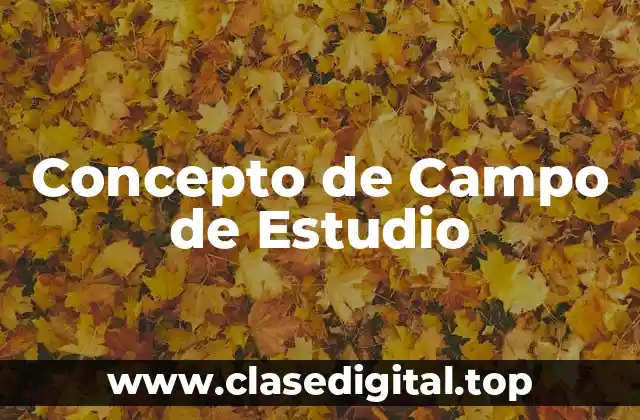 Concepto de Campo de Estudio