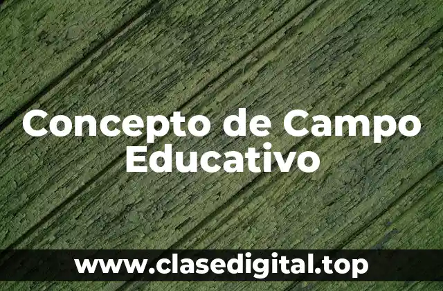 ✔️ Concepto de Campo Educativo