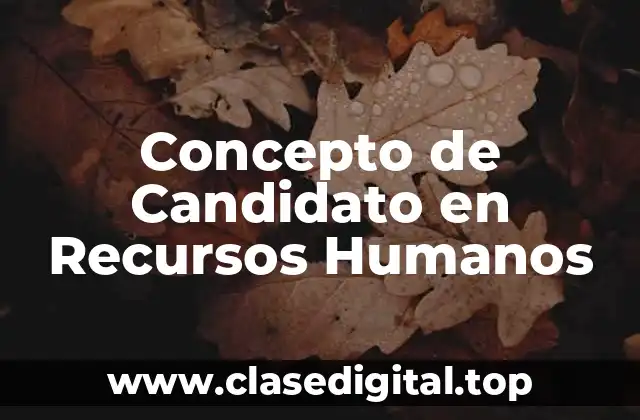 📗 Concepto de Candidato en Recursos Humanos