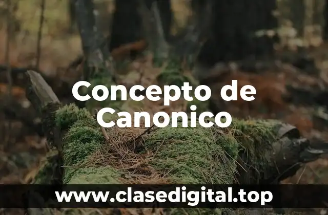 Concepto de Canonico