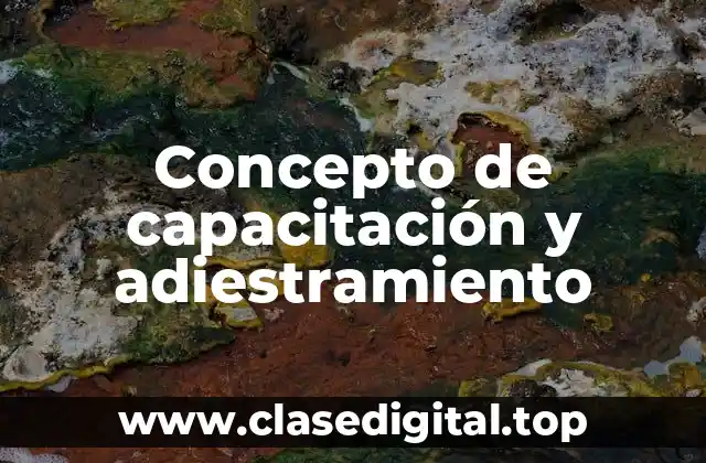 Concepto de capacitación y adiestramiento