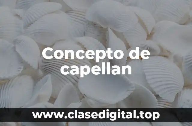 Concepto de capellan