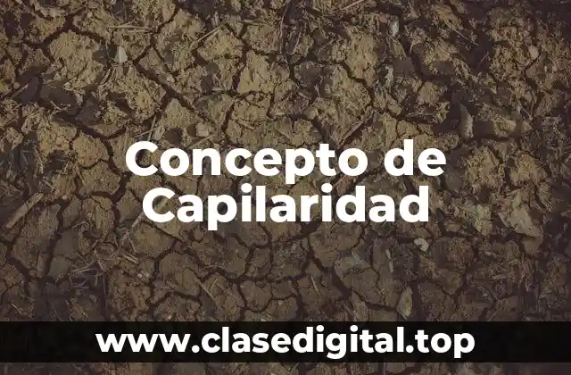 Concepto de Capilaridad