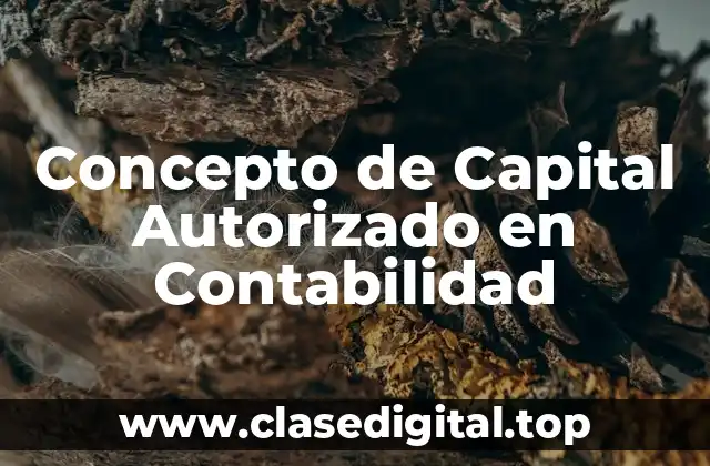 Concepto de Capital Autorizado en Contabilidad