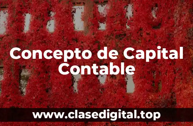 Concepto de Capital Contable
