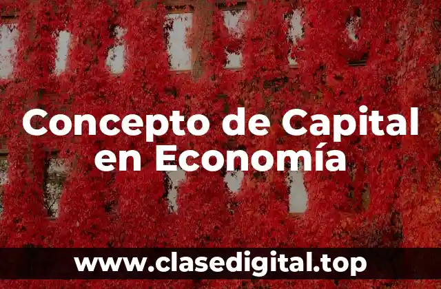 Concepto de Capital en Economía