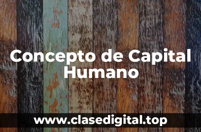 Concepto de Capital Humano
