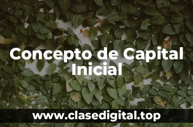 Concepto de Capital Inicial