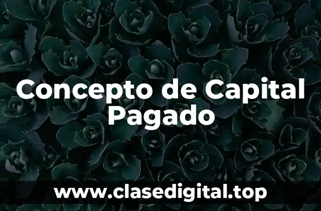 Concepto de Capital Pagado