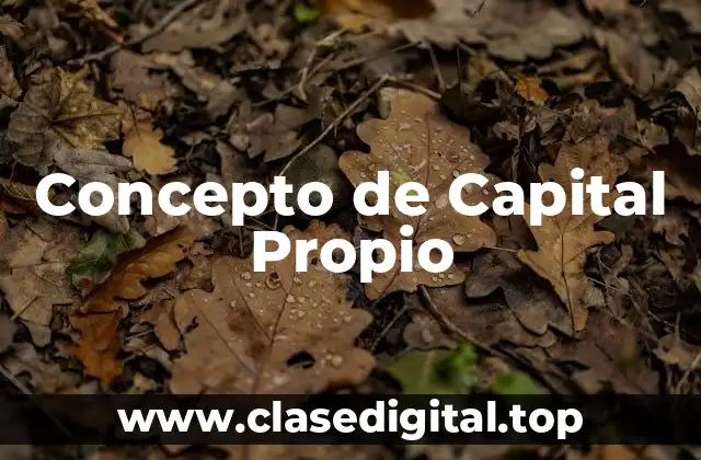 Concepto de Capital Propio