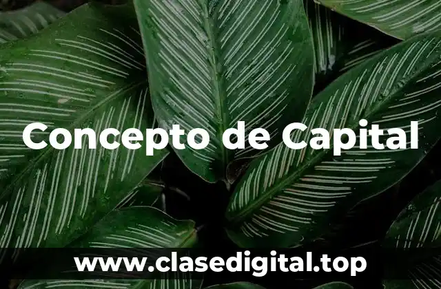 Concepto de Capital