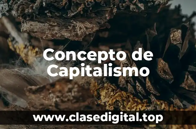 📗 Concepto de Capitalismo