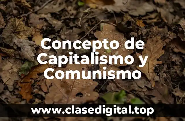 Concepto de Capitalismo y Comunismo