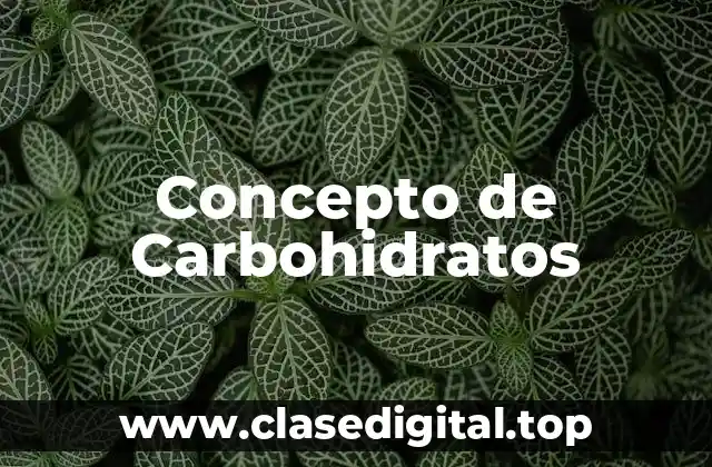 Concepto de Carbohidratos