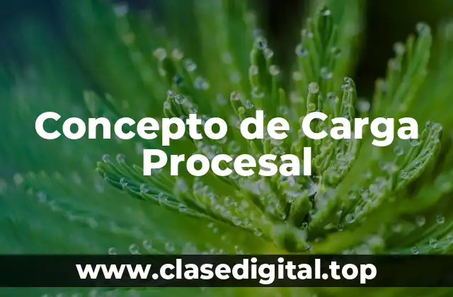 Concepto de Carga Procesal