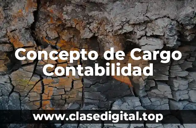 Concepto de Cargo Contabilidad